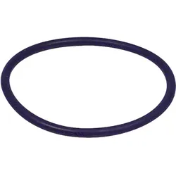 O-Ring zu Gasanschlußflanschen