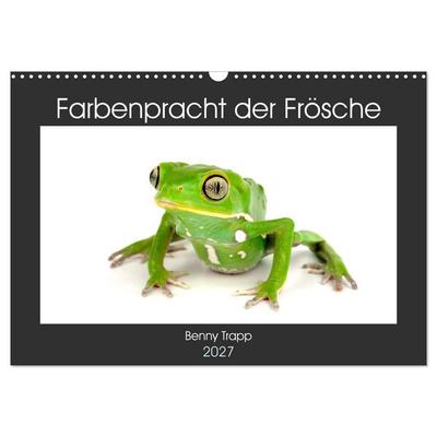 Farbenpracht der Frösche (Wandkalender 2027 DIN A3 quer), CALVENDO Monatskalender