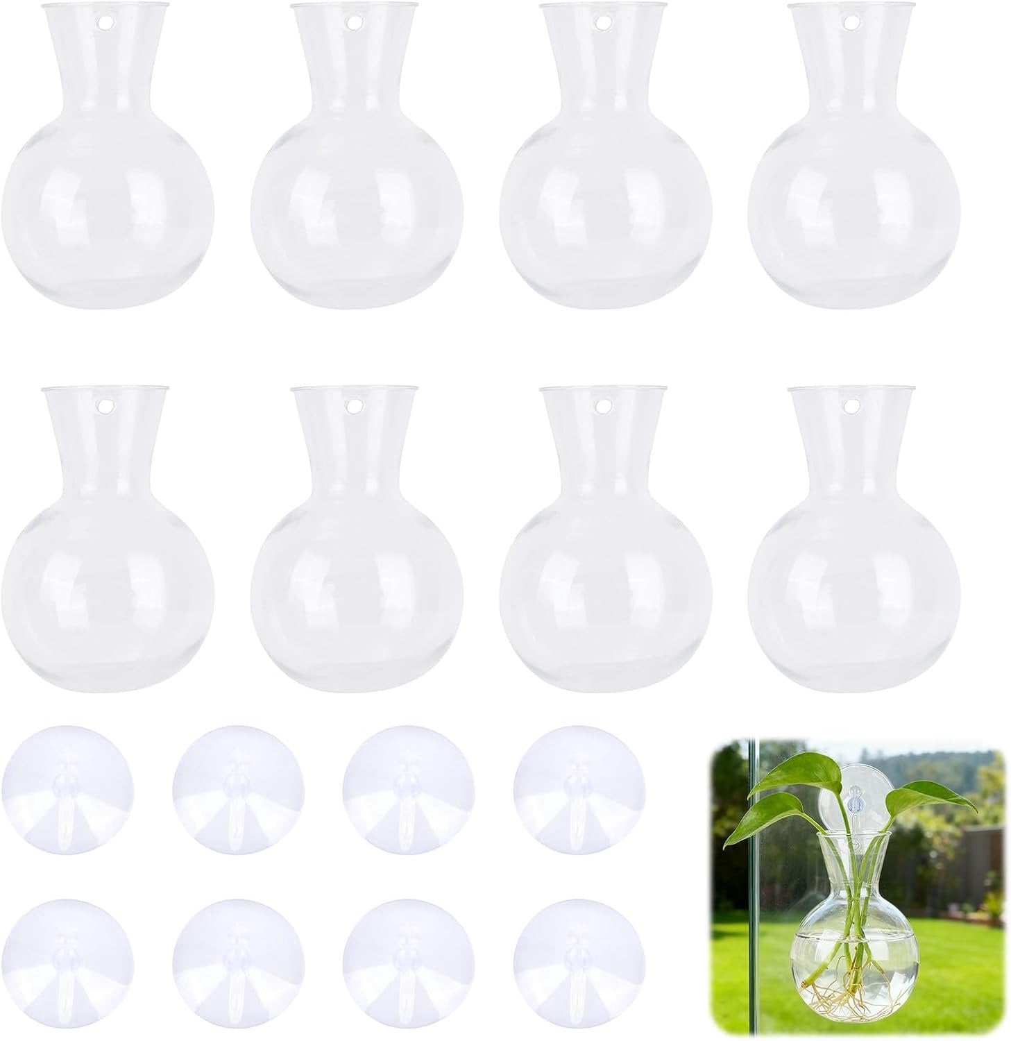 Vemera Venster propagatiestation met 8 plastic bolvormige potjes en zuignappen voor binnentuin decoratie