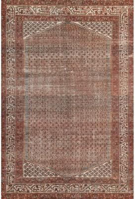 Momeni Ariana Traditional Oriental Polyester Area Rug