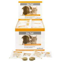 Dia Tab 60 Tabletten Dia-Tab