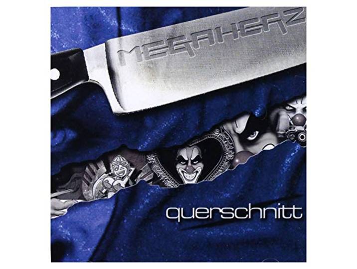 Querschnitt