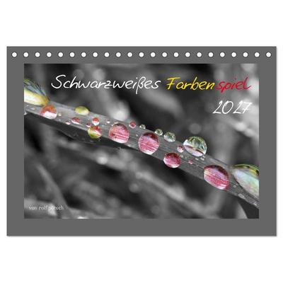 Schwarzweißes Farbenspiel 2027 (Tischkalender 2027 DIN A5 quer), CALVENDO Monatskalender