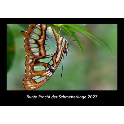 Bunte Pracht der Schmetterlinge 2027 Fotokalender DIN A3