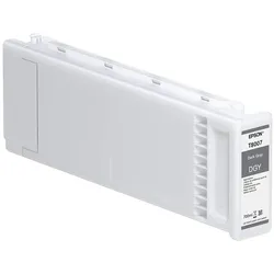 Epson, Druckerpatrone, Singlepack Dark Gray T800700