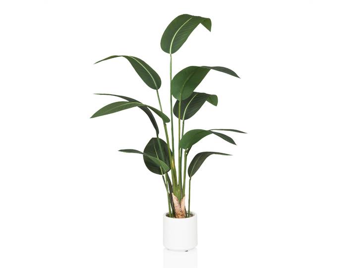 Plante Artificielle Strelitzia Vert Hjh Office