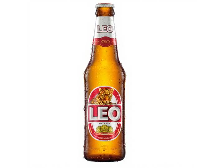 LEO bier 5% vol - 330 ml