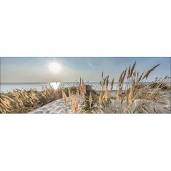 Aludibondbild LOOK THE HORIZON (BHT 150x50x1,10 cm) - bunt - BHT 150x50x1,10 cm
