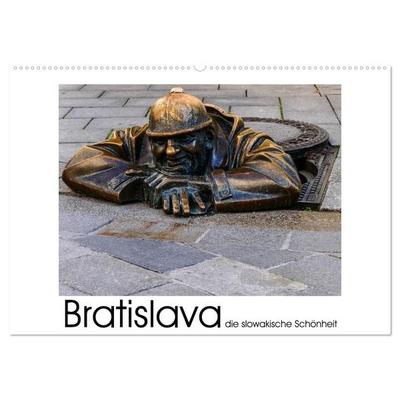 Bratislava die slowakische Schönheit (Wandkalender 2027 DIN A2 quer), CALVENDO Monatskalender