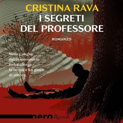 I segreti del professore (Nero Rizzoli) - Cristina Rava, Audio, 9788831806398