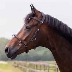 QHP Kappzaum Leder Schwarz, QHP17_Gr.: Pony