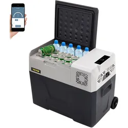 VEVOR 30L Autokühlschrank Kompressorkühlbox Edelstahl Urlaub Isolierbox Mini Kühlschrank Kühlbox Auto und Steckdose