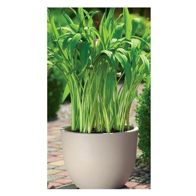 Form Plastic Flowerpot Form Plastic Round 2731, plastic, Ø 35 cm, brown (35 x 20 cm) (46365527)