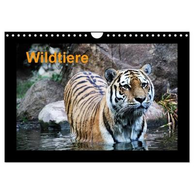 Wildtiere (Wandkalender 2027 DIN A4 quer), CALVENDO Monatskalender