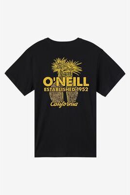 O'Neill s Landmark Ca Classic T-Shirt in Black, Size 2XL