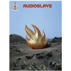 Audioslave, Sachbücher