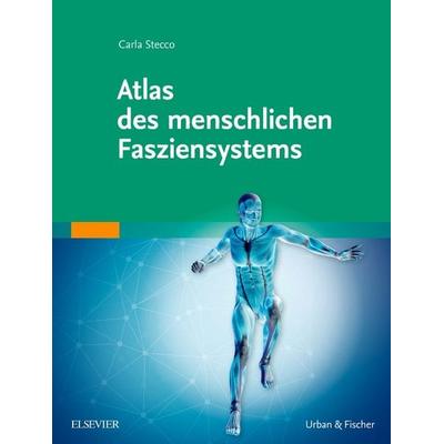 Atlas des menschlichen Fasziensystems, Gebundene Ausgabe von Carla Stecco, Urban & Fischer in Elsevier, 978-3-437-55905-1