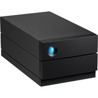 2big RAID 40 TB, Externe Festplatte schwarz, USB-C 3.2 (10 Gbit/s)