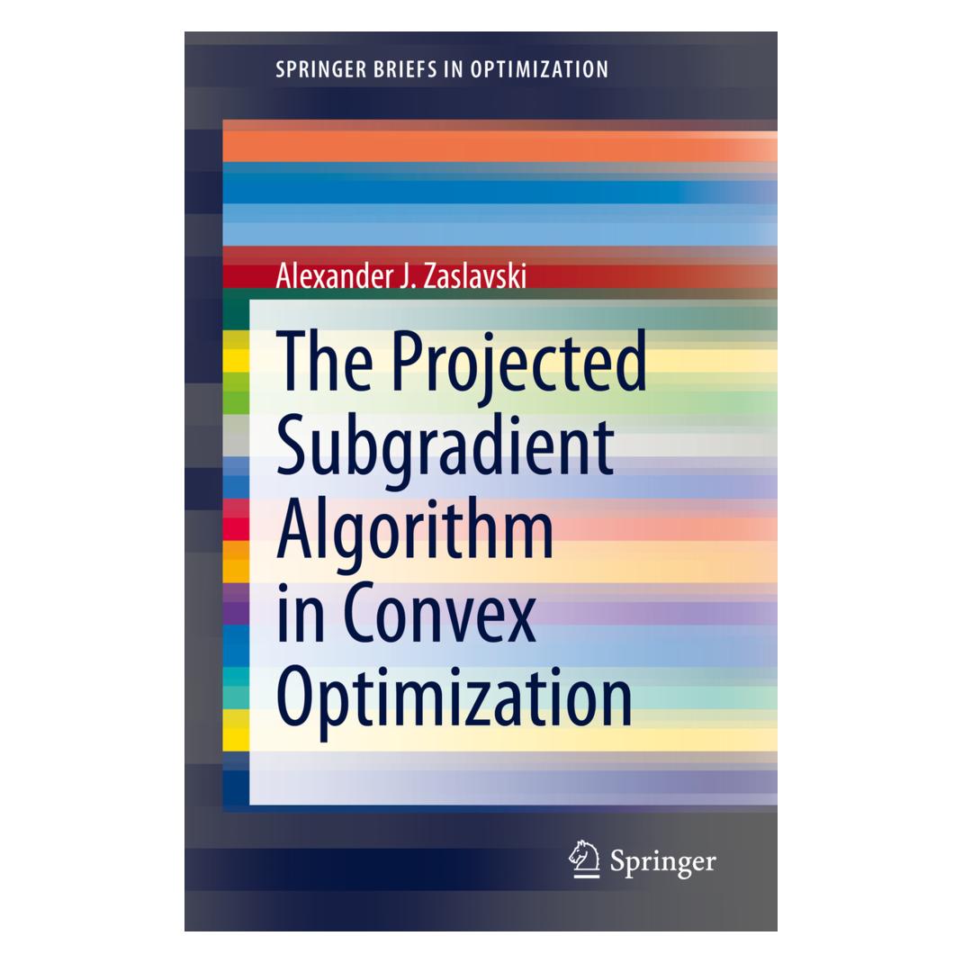 Springer The Projected Subgradient Algorithm in Convex Optimization (Englisch, Softcover, Alexander J. Zaslavski) (56157341)