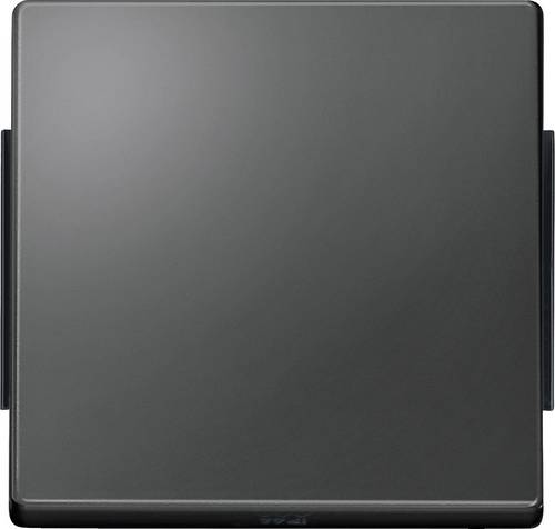 Merten Abdeckung Wechselschalter Aquadesign Anthrazit 343114 1St.