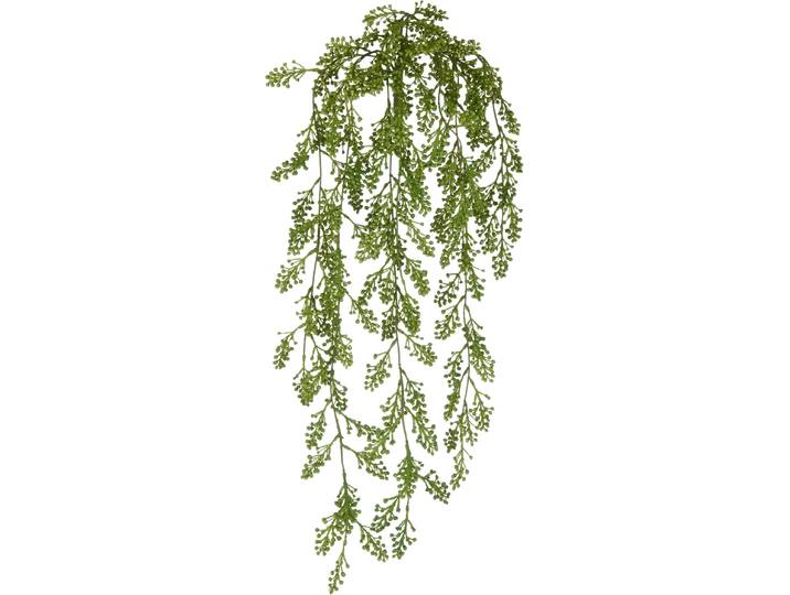 Kunstranke CREATIV GREEN Sedum , grün, H:80cm, Kunststoff, Kunstpflanzen, Kunstranke, mit üppigen Ranken