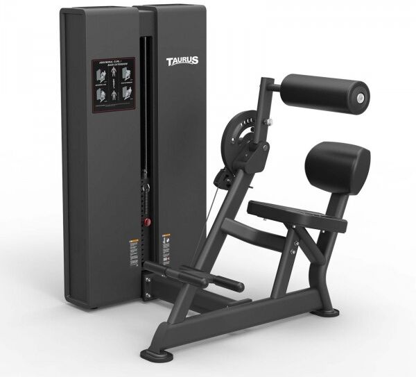 Taurus Pro Ab & Back Extension Machine