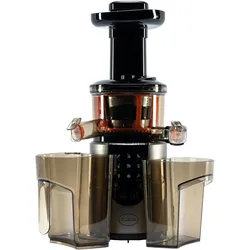 RGV Juice Art Digital SlowJuicer Entsafter200 Watt, 4555 rpm, Entsafter, Mehrfarbig, Orange, Schwarz, Transparent
