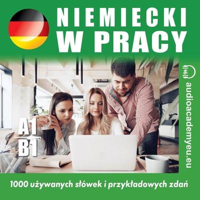 Niemiecki w pracy A1_B1 - Tomas Dvoracek, Audio, 9788088625490