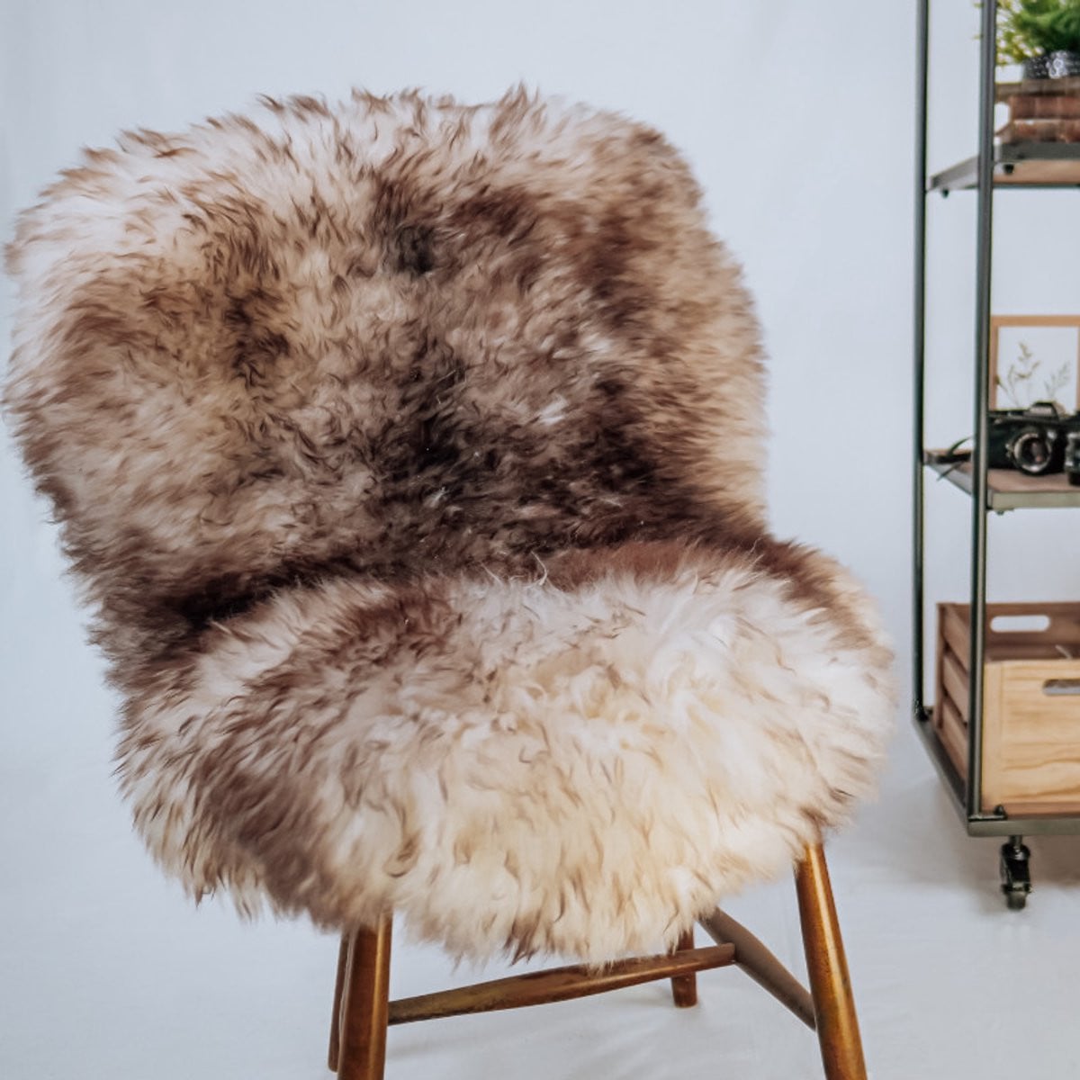 Echte Schapenvacht Moeflon XL Eco+ - 115 x 65 cm