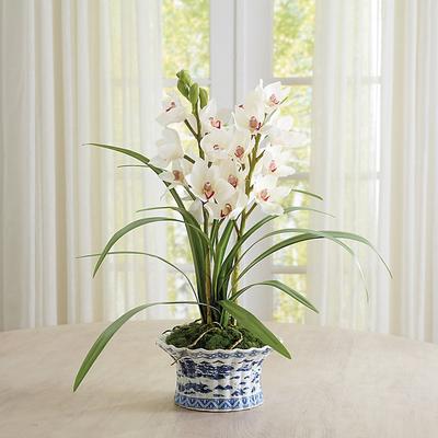 Orchid Floral Arrangement in Planter - Ballard Designs