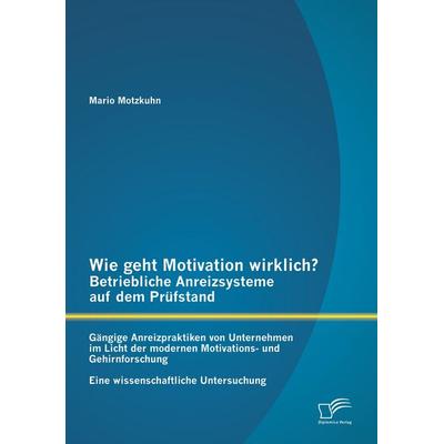 Wie geht Motivation wirklich? - Betriebliche Anreizsysteme auf dem Prüfstand: Gängige Anreizpraktiken von Unternehmen im Licht der modernen