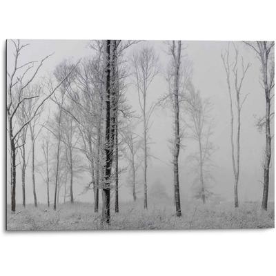 Wandbild REINDERS "Aluminium Wandbild Still Natur - Schwarz-Weiss - Wald - Bäume", schwarz (farbe bild(er): schwarz, weiß), B:70cm H:50cm, Aluminium, Bilder