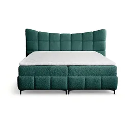 BOXBETT Nova In Rolf