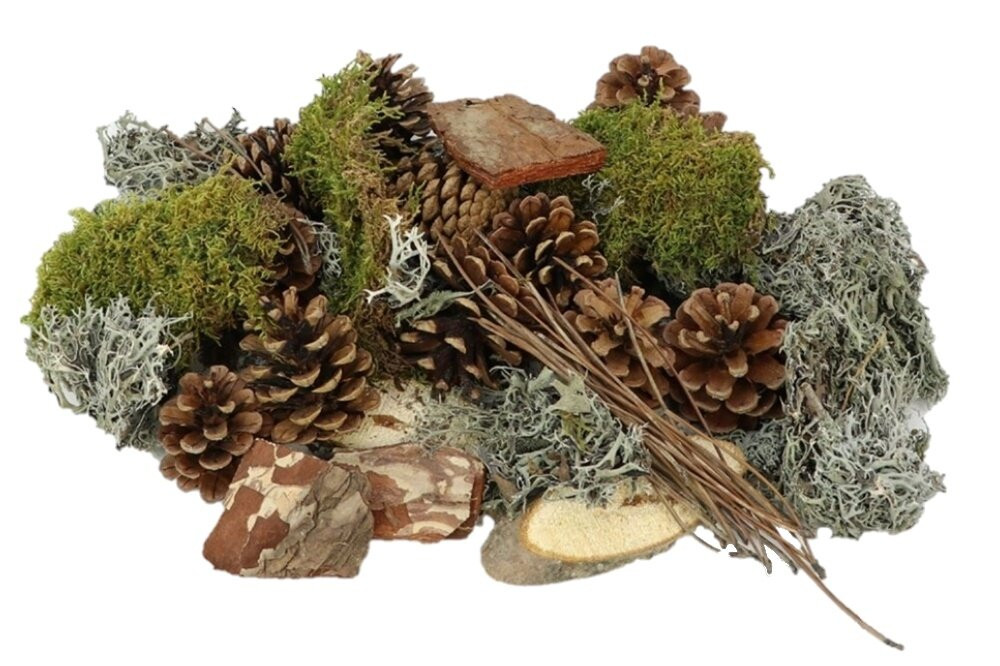 HBX Natural Living Forrest mix Large voor volwassenen