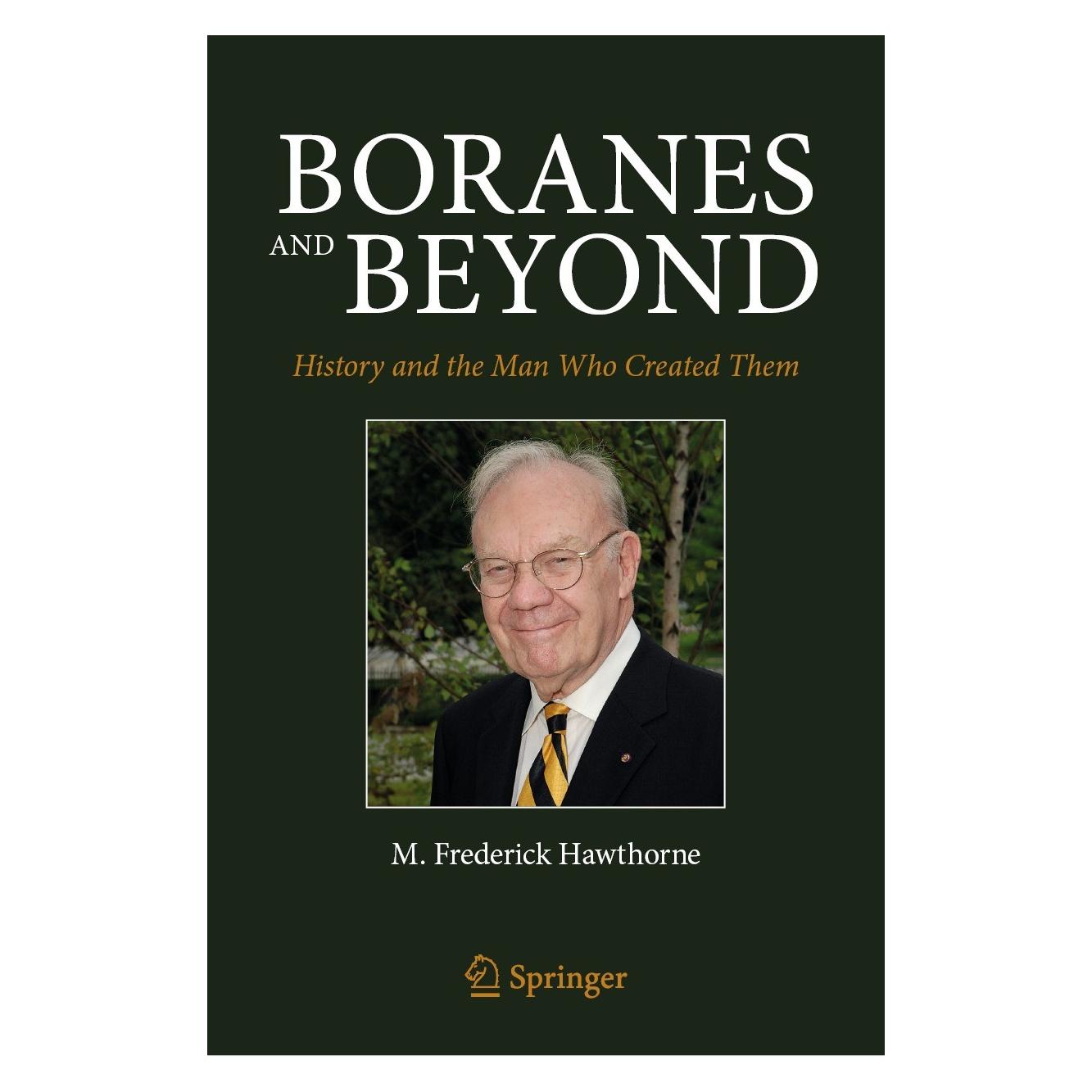 Springer Hawthorne:Boranes and Beyond (Englisch, Hardcover, M Frederick Hawthorne, M. Frederick Hawthorne) (9781071629062)