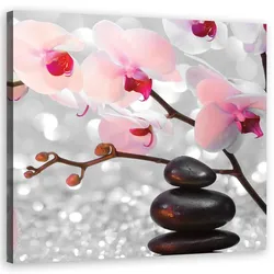 WANDBILD zen steine orchidee blumen