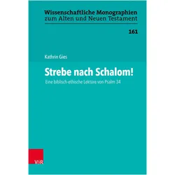 Strebe nach Schalom!, Fachbücher von Kathrin Gies, Michael Tilly, Johannes Schnocks, Martin Leuenberger, David S. du Toit