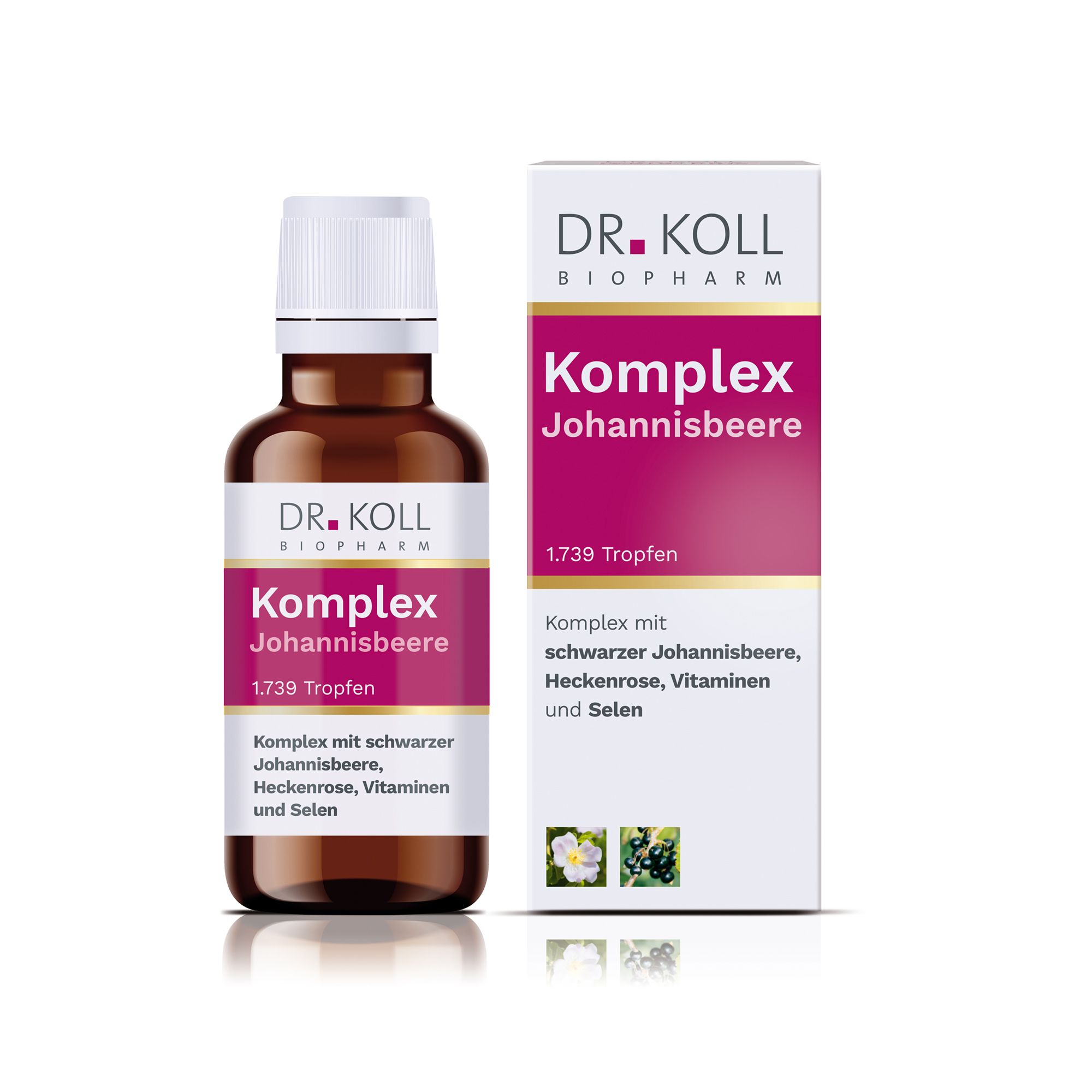 Komplex Johannisbeere Dr.Koll Gemmo Heckenrose Tro 50 ml Tropfen