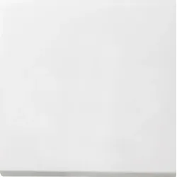Gira Wippe Wechselsch. rws-gl 0296112