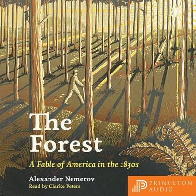 The Forest - Alexander Nemerov, Audio, 9780691251059
