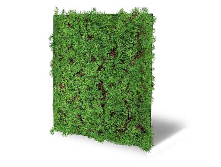 JANGAL Modular Wall Nature Design Flora Paneel (52 x 52 cm), Modulares Wandpaneel, mit recyceltem PET-Filz, zum Kleben oder Schrauben, Wandverkleidung, Wand Deko, Florawand (Thuja Tea Tree)