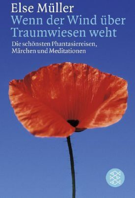 Else Müller - Wenn der Wind über Traumwiesen weht: Die schönsten Phantasiereisen, Märchen und Meditationen - Preis vom 11.10.2026 15:43:13 h