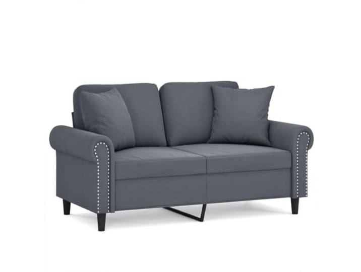 GHVBNMF 2-Sitzer Sofa Samt Polstersofa mit 2 Kissen Dunkelgrau 152 cm Kompaktes Polstermöbel für Wohnzimmer und Schlafzimmer mit weicher Polsterung, stabilem Metallgestell und Kissen.