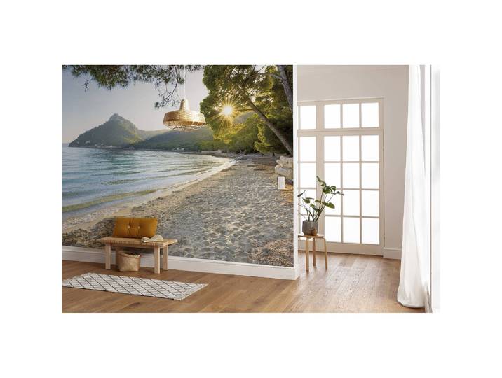 Papier peint intissé Lonely Paradise 450 x 280cm