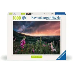 Ravensburger Puzzle 12000793 - Ein Sturm zieht auf - 1000 Teile Puzzle für Erwachsene ab 14 Jahren