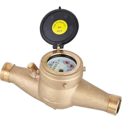 Mehrstrahl-Flügelradzähler für Kaltwasser, Typ MNR, Qn 6 1'' 260mm
