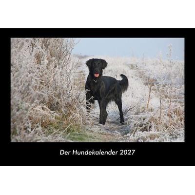 Der Hundekalender 2027 Fotokalender DIN A3