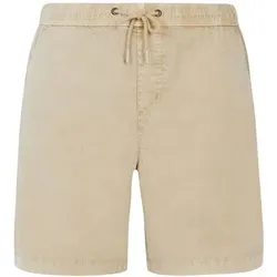 PROTEST Herren Shorts PRTNivel, Größe L in Grau Grau