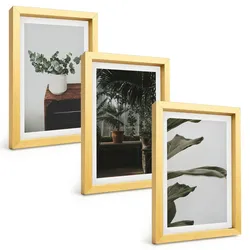 BILDER SET 3er Set - 20x30 cm Goldrahmen - Rustikale Topfpflanzen