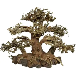 4fish Traerødder, Tree Island, 40x15x30 cm (Dekoration, sonstige Gegenstände), Aquarium Dekoration